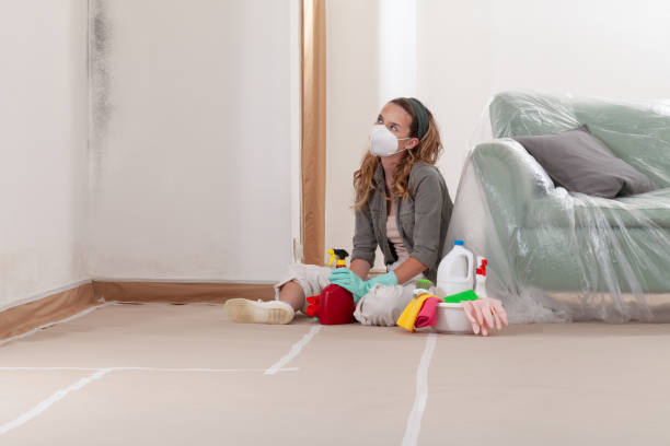 Reliable Mold Remediation contractor in Georgetown, IL by Mold Remediation HQ
